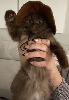 a person holding a cat wearing a hat