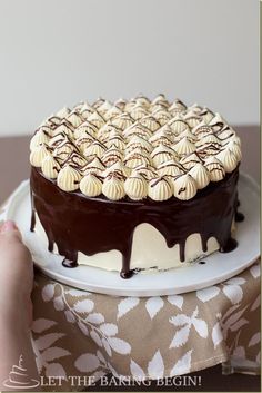 a chocolate cake with white frosting on a plate next to a person's hand