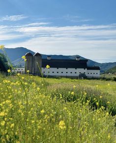 a farm with yellow flowers in the foreground and mountains in the backgroud