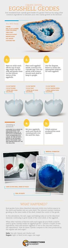 an info sheet describing how to use the egg shell for eggshells and other things