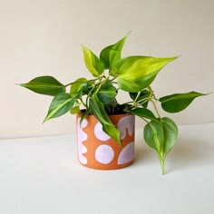 a potted plant sitting on top of a table