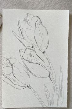 a drawing of some flowers on a piece of paper