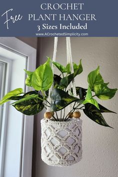 a crochet plant hanger with plants in it and text overlay that reads, how to crochet the plant hanger 3 sizes included