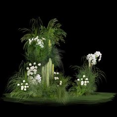 some white flowers and green grass on a black background