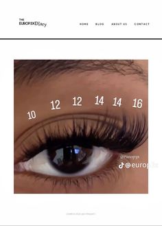 Lash Extensions Styles Lash Map, Lashes Extensions Clusters, Lash Layout Clusters, Fluffy Lash Extensions Mapping, B&q Lash Map Clusters, Lash Map Fox Eye, Volume Cluster Lashes Map, Fairy Lashes Extensions, Small Eye Lash Map