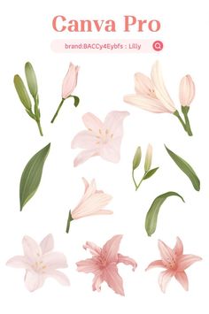 pink flowers with green leaves are shown on the cover of an advert for canva pro