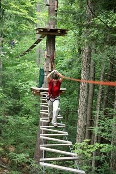 a man on a high rope course in the woods holding onto his head and looking down