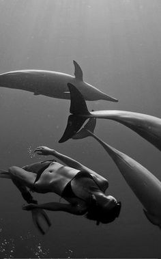 two people are swimming in the water with dolphins and shark tails on their back legs