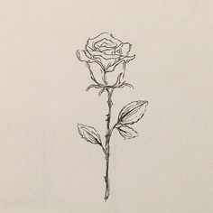 Small Tattoos Rose Simple, Rose Tree Tattoo, Roses Drawing Simple, Rose Sketch Simple, Rose Drawing Sketch, Simple Rose Drawing, Rose Drawing Simple, Simple Rose Tattoo, Sketch Instagram