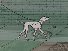 a dalmatian dog is walking on a leash in front of a brick wall