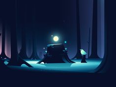 an image of a night in the woods