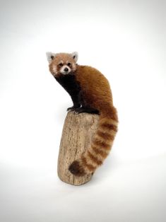 a brown and black animal sitting on top of a piece of wood next to a white background