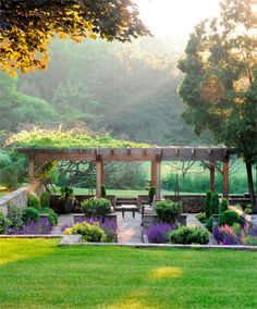 an outdoor garden with benches and flowers in the foreground, surrounded by greenery