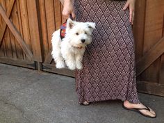 a woman is holding a small white dog in her hand while standing next to a wooden fence