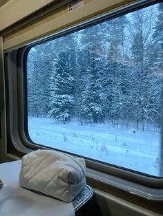 there is a window in the train that looks out on snow covered trees and grass