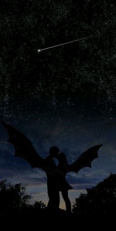 Two male and female bat-winged lovers embracing under the stars. A shooting star passes above them as they kiss. The female is wearing a skirt, her long hair down and flowing down her back. Her wings are smaller than his, matching her height and body mass. She reaches up in her tippy toes to kiss him as he bends down to her height. Disney Canvas Art, Roses Book, Court Of Thorns And Roses, Look At The Stars, Fantasy Aesthetic, Fantasy Novels