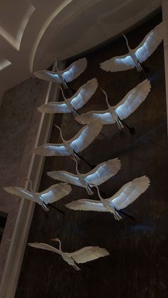 several white birds flying in the air near a building wall with lights coming from it's wings