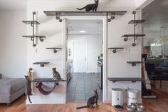 a cat sitting on top of a shelf in a living room next to a couch