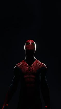 the amazing spider - man is shown in this dark photo