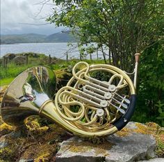 a brass french horn sitting on top of a rock