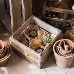 an old wooden box filled with succulents and other potted plant life