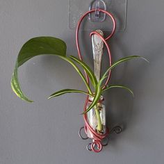 an air plant hanging from a hook on a wall with wires and wire attached to it