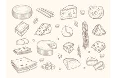 a drawing of different types of cheese