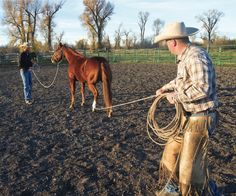 a man holding a rope while standing next to a brown horse on a dirt field