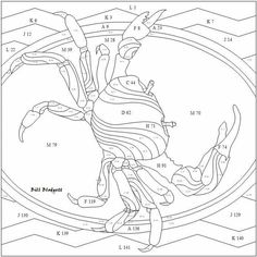 a drawing of a crab with numbers on it's back and the top part of its