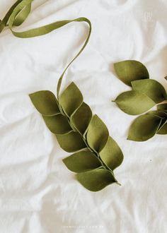 some green leaves laying on top of a white sheet with a ribbon around the edges