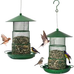 three birds are perched on the bird feeders and one is eating seeds from it