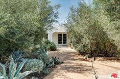 an entrance to a home surrounded by trees and plants in the desert with blue skies overhead