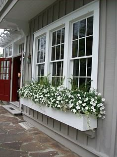 white flowers in a window box on the side of a house