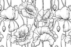 black and white flowers with long stems on the side, drawn in ink by hand