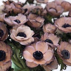 a vase filled with lots of pink flowers