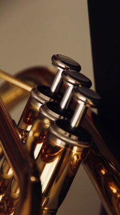 an image of a musical instrument that is close up