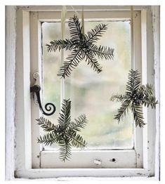 a window with some branches hanging from it