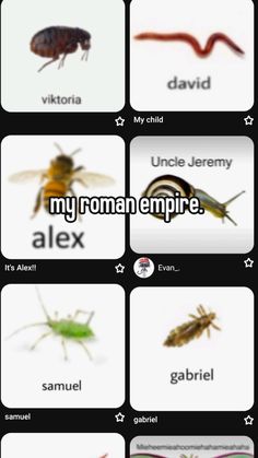 the different types of bugs and their names are shown in this screenshoter image