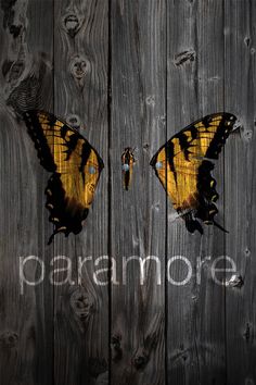 two yellow butterflies with the word paeonore painted on them's faces against a wooden fence