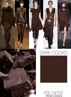 FASHION VIGNETTE: TRENDS // TREND COUNCIL . A/W 14-15 COLORS Bronze Autumn, Toned Autumn, Dark Cacao, Fall And Winter Fashion, 2015 Fashion Trends, Cocoa Chocolate