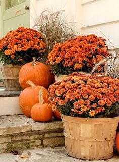 some pumpkins and flowers are sitting on the steps