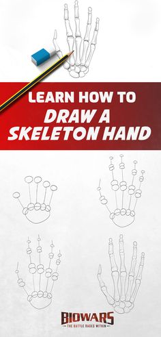 A collage of five images depicting the process of drawing a skeleton hand. How To Draw Skeletons Hands, How To Sketch A Skeleton, Drawings Of Skeleton Hands, Art Sketchbook Skeleton, How To Draw Hand Bone, Human Skeleton Drawing Simple, Skeleton Oc Drawing, Skeleton Still Life, How To Draw Skeleton Hands On Paper