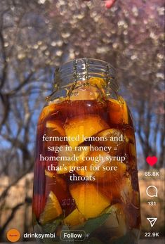 a jar filled with liquid sitting on top of a wooden table next to a tree