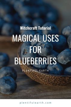 Blueberry Green Tea, Witchy Kitchen, Kitchen Magic, Dried Berries, Kitchen Witchery, Psychic Protection, Witchcraft For Beginners, Herbal Magic, Spells Witchcraft