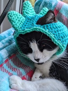 a black and white cat laying on top of a blanket wearing a knitted hat