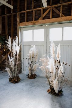 some white flowers and plants in front of a barn door