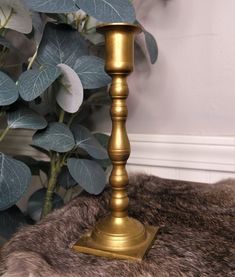 a gold candle holder sitting on top of a fur rug next to a potted plant