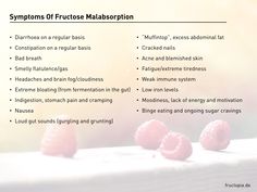 Fructose Malabsorption: All Symptoms And Health Issues At A Glance Malabsorption Symptoms, Fructose Free Recipes, Fructose Intolerance, Fructose Malabsorption, Medicine Tips, Tummy Issues, Fructose Free, Weak Immune System, Gastrointestinal Disorders