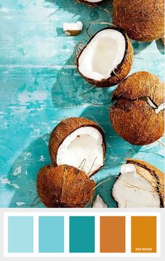 coconuts on the water with color swatches