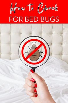 Learning How to Check for Bed Bugs is an important natural pest control step. If you’ve noticed bites or other signs of bed bugs in your home, it’s time to investigate further. Bed bugs themselves are usually visible to the naked eye, especially when they gather in clusters. If you spot any bugs or evidence of bed bug activity, you need to take action. Bedbugs Removal, Bed Bug Trap, Signs Of Bed Bugs, Kill Bed Bugs, Rid Of Bed Bugs, Bed Bug Bites, Pest Prevention, Bug Killer, Bed Bug